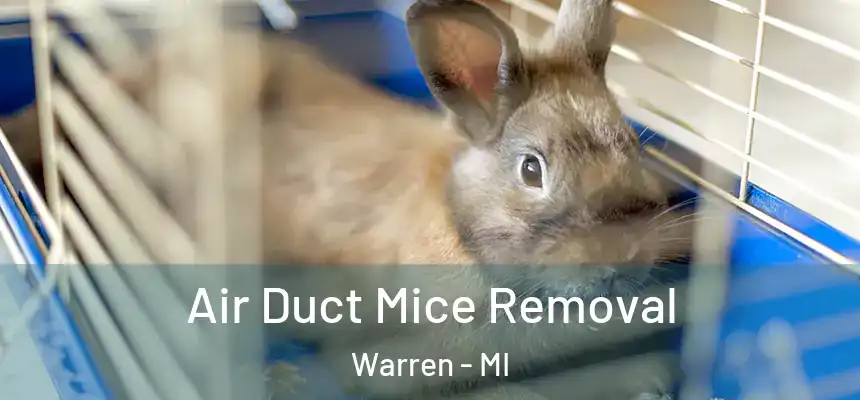 Air Duct Mice Removal Warren - MI