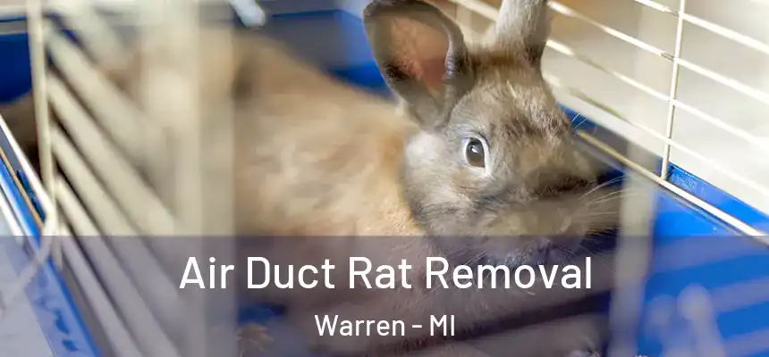 Air Duct Rat Removal Warren - MI