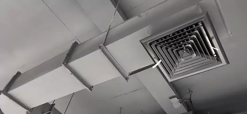 Our Pest Removal From Ducts Services in Warren, MI