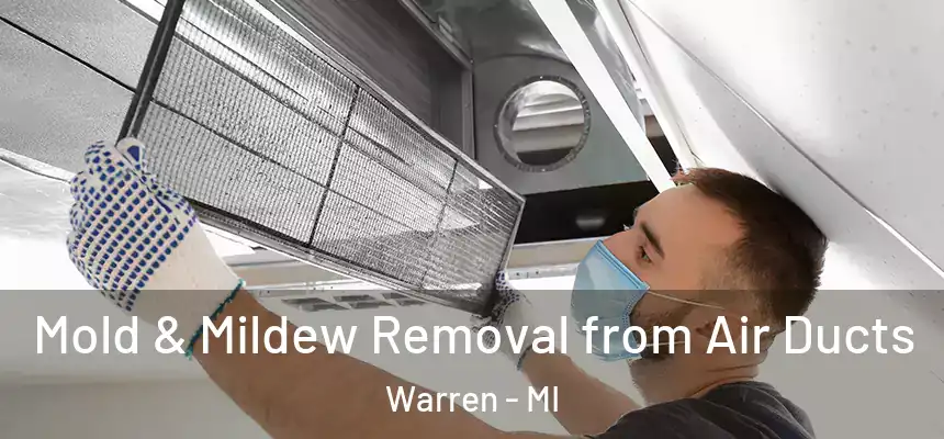 Mold & Mildew Removal from Air Ducts Warren - MI