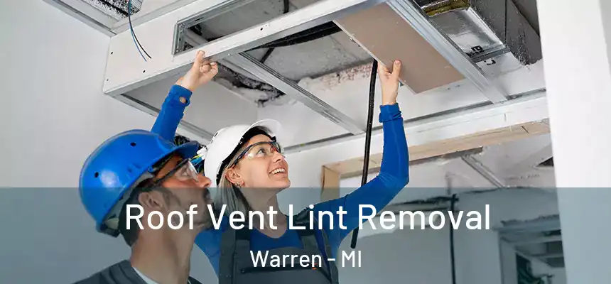 Roof Vent Lint Removal Warren - MI