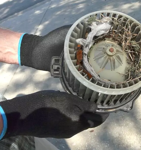 About Air Duct Mice Removal in Warren, MI