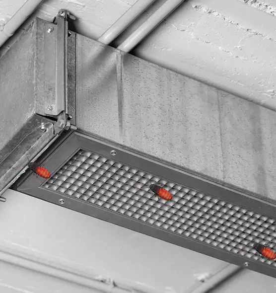 Affordable Insect Removal from Air Ducts in Warren, MI
