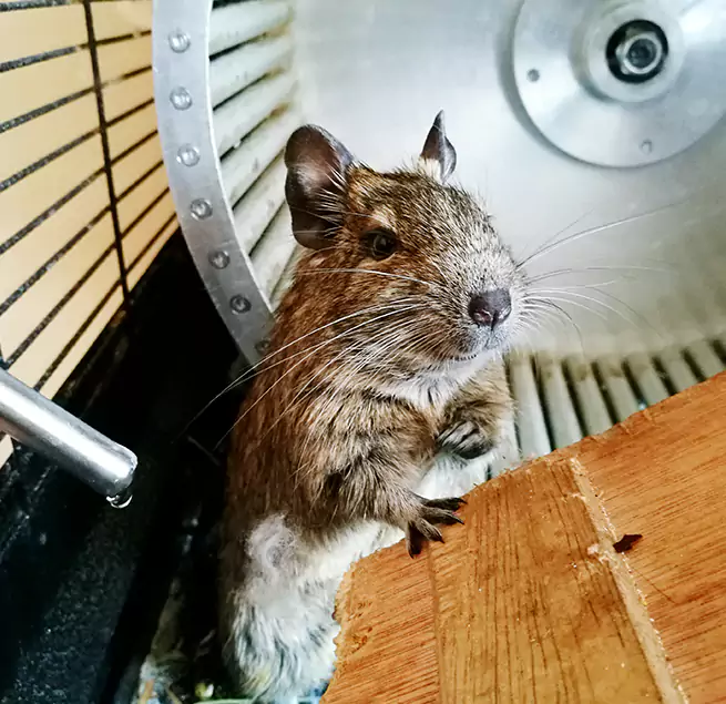 Why Homeowners & Businesses Trust Us Warren, MI?