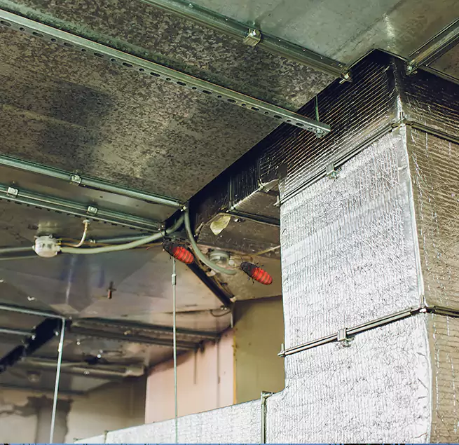 Why Homeowners & Businesses Trust Us Warren, MI?